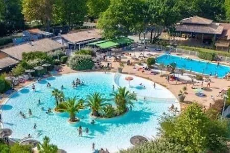 Grand Confort Bassin D'arcachon *